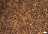 2oz Distressed Brown Ostrich Embossed Cow Leather (per square foot)